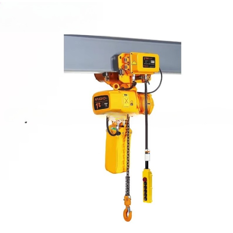 Dual Speed Electric Chain Hois - Heavy Equipment Lift 评论和价格